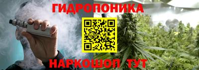 дурь Тулун