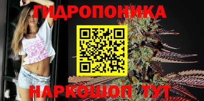 дурь Тулун