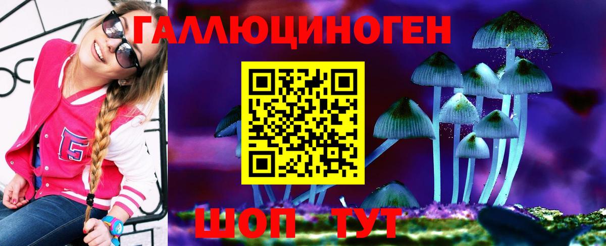 Моздок  Галлюциногенные грибы прущие грибы  Вход с VPN  Псилоцибиновые грибы Magic Shrooms 