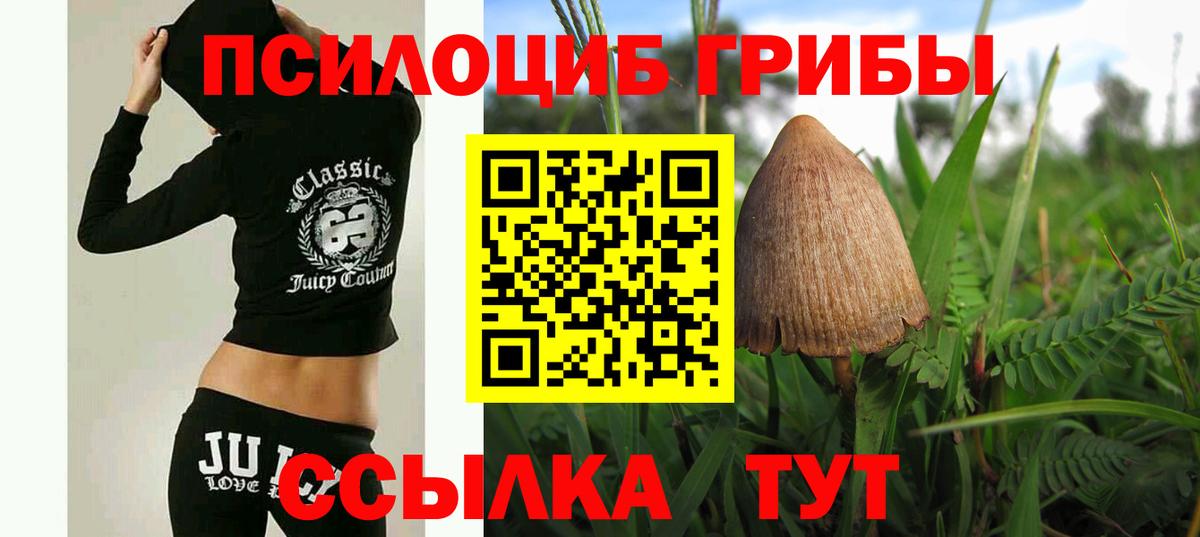 Псилоцибиновые грибы ЛСД Моздок
